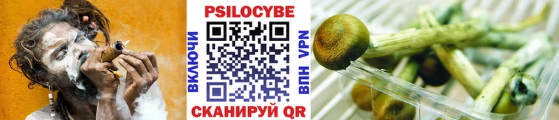 Галлюциногенные грибы MAGIC MUSHROOMS  Асино 