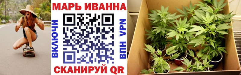 Конопля THC 21%  магазин продажи   Асино 
