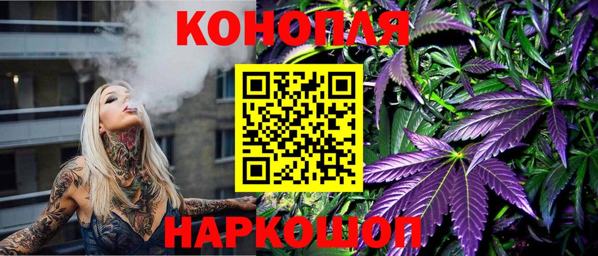 Каннабис OG Kush Асино